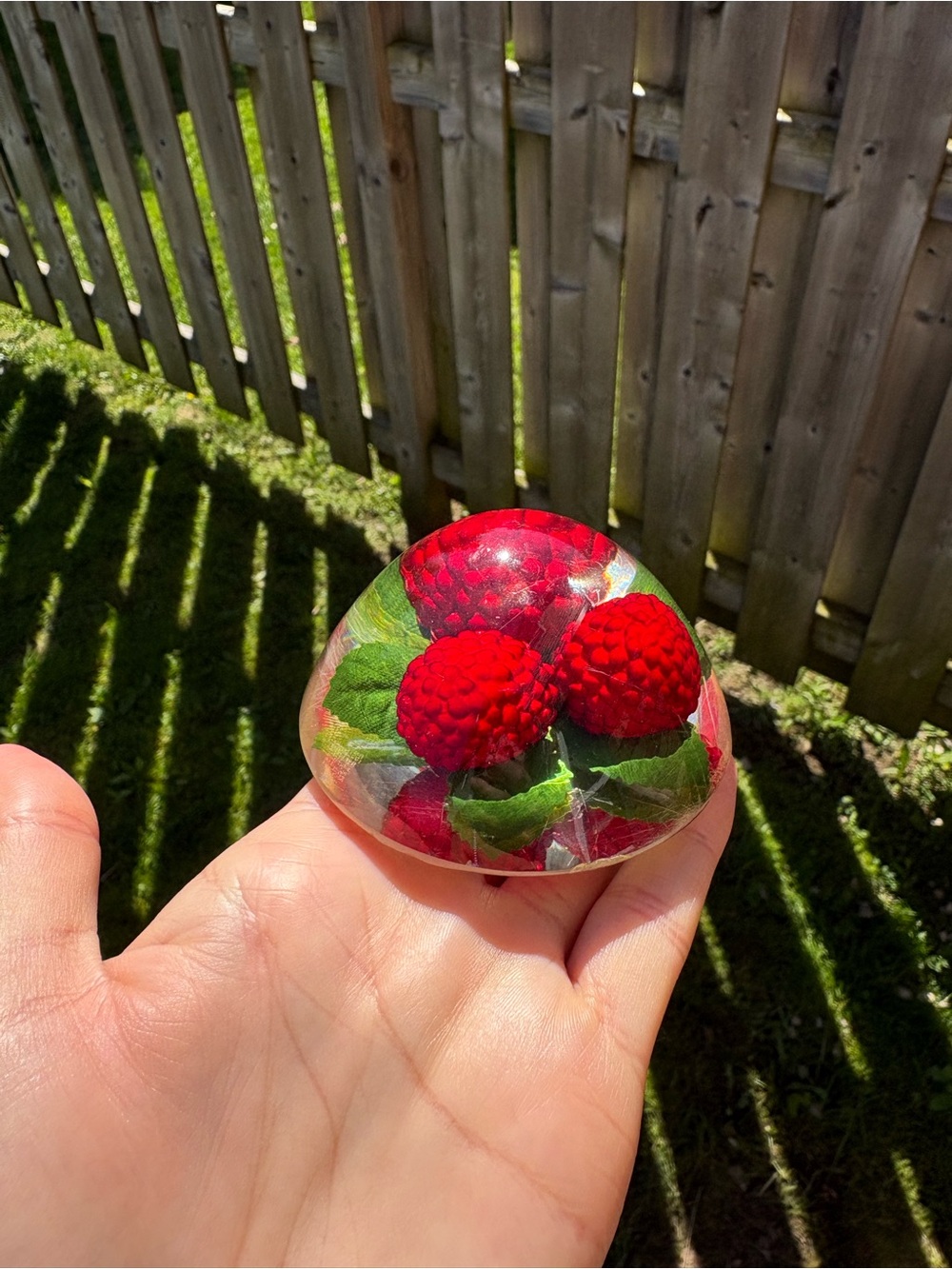 Vintage Resin Paperweight with Red Raspberry